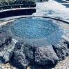 愛の水中花