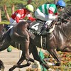 競馬あれこれ　第140号