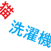 伝説戦感想と猫洗濯機について