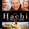 Hachi A dog’s Tale 