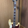 私の楽器紹介　アリアプロ2