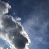 陰湿雲と三毛猫とPF2101と