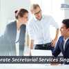 Prefer Corporate Secretarial Services Singapore & Keep Your Costs Down