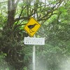 標識　沖縄県国頭郡国頭村楚洲