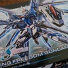 ガンプラはもう買うつもりはなかったんだけどなぁ。