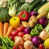 ズッキーニのネバネバ、実は食べられる？捨てる前に知っておきたい見分け方と対処法！