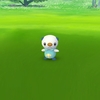 【日記】ポケモンマスターに俺はなる！！