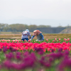 今日は二重奏：舟川べり