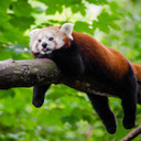 12月生まれさんのためのタロット占い