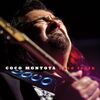ココ・モントヤ(Coco Montoya)『Hard Truth』入手