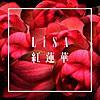 紅蓮華/LiSA 　〜気分転換にタイピング練習〜