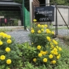 ann's coffee | 京都カフェ | 京都ドッグカフェ | 京丹波町カフェ|京丹波町ドッグカフェ|焙煎珈琲 |2024 8/21