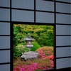 京都・東山 - サツキ彩る 泉涌寺雲龍院