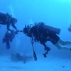 ダイバー憧れの海パラオで初ダイビング