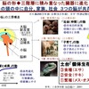  脳の形　・・・　私たち（ヒト）の頭の中には、自分、家族、社会に関する３つの脳が共存する