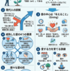 フロム『愛するということ』を10分で読む｜「愛は技術である」の意味と実践