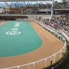 シルバーウィークは来客ウィーク②&馬三昧。