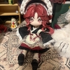 【ドール記事㊱】月飛び時間お迎えレポ