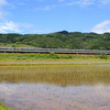 初夏の信越本線「妙高号」（Ｎ１０３編成）