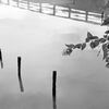 山田池公園・モノクローム (3)