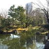 雪の九州名勝庭園。水前寺成趣園、御花 立花氏庭園、清水寺本坊庭園 / 最近見た庭園。国会前庭など