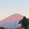 今日の富士山。