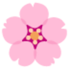 ブログをひさしぶりに再開します！🌸