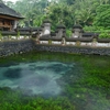 「聖水の寺院」ティルタウンプル寺院を見学、聖なる泉は本当に綺麗だった。バリ島③インドネシア