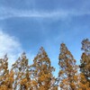 コラム「空をのんびりと眺めたのはいつですか」