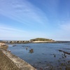 【2021コロナ禍の初詣】青島神社（宮崎県宮崎市）へお参り行ってきました。