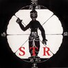人類の 叡智『AGI』と『STR』