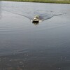 ボートで除草剤まき♪