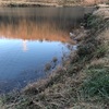 今週の釣果報告🎣茨城県桜川市某池