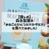 【食レポ】セブンイレブンで森永製菓の「まるごとひとつぶマカダミア」のアイスを買ってみました！