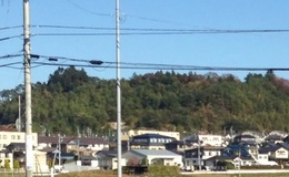 記事を見る