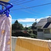 同じ神奈川県内でもだいぶお天気は違うらしい