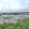 【ジョギング続けてみる】2025/08/12　44分/7.9km　体感◯　雨の後の川に入って脚をとられかける　午後小雨との予報は外れたみたい