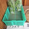 江戸東京野菜・のらぼう菜は、くせもなくナンボでも食べられる青菜っ葉