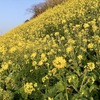 最近、人と話すのが億劫になってきた