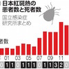 日本紅斑熱  マダニ媒介で発症