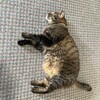 人体実験してみた（3）