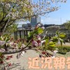 近況報告　2024/4/1(月)～4/10(水)　 頭皮にできている湿疹に強い痒み