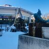 「錦鯉の新潟ハリウッド温泉」のロケ地！錦鯉の里に泳ぐ”錦鯉のまさのり”を探しに行ってみた