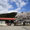 木造駅舎と桜