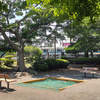 林間白笹公園・東林間いぶき公園（相模原市南区上鶴間）