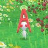 ピクミンブルーム＊その５０　のコミュニティデイ