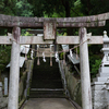 【ヒメボタル】福岡県鞍手町八剣神社、その2