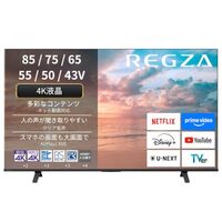 【65インチ4K大画面で映画もスポーツも迫力満点】REGZA 65E350Rレビュー！スマート機能×クリア音声搭載の高コスパ液晶テレビ