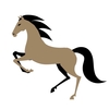 【追い切り注目馬】【京王杯SC】【是政S】他　2025/5/3(土) 東京競馬　合格点