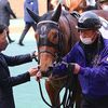 １１日の検疫で栗東・友道厩舎へ帰厩しています。☆ロードマンハイム
